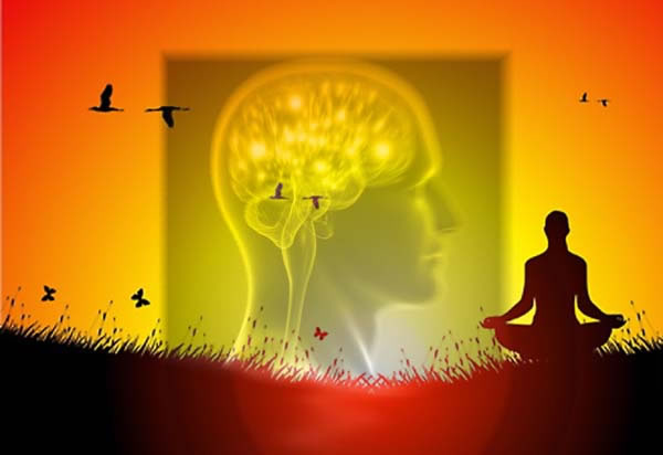 meditazione e cervello