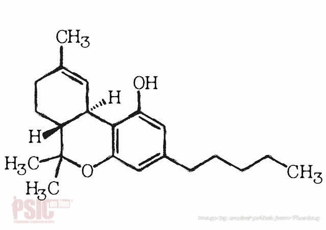 cannabinoidi sintetici