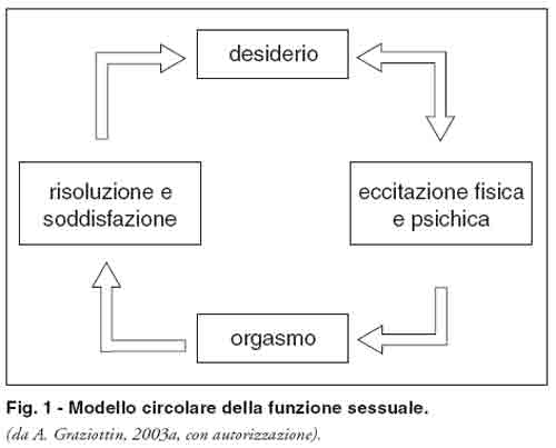 ciclo risposta sessuale