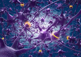 neuroni e dipendenza