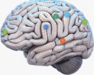 mappatura cervello