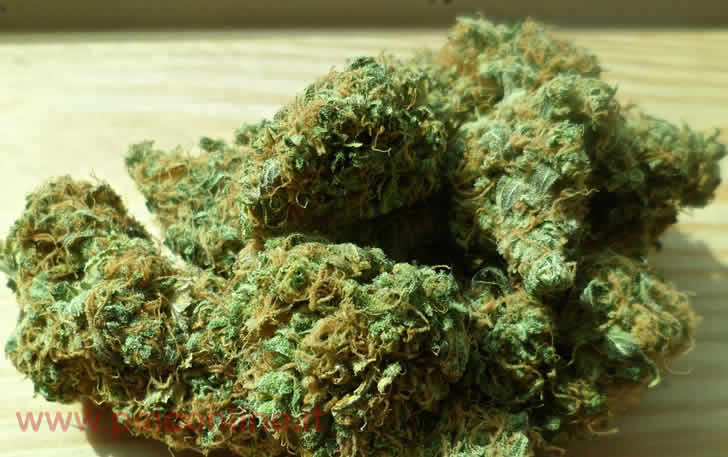 marijuana THC